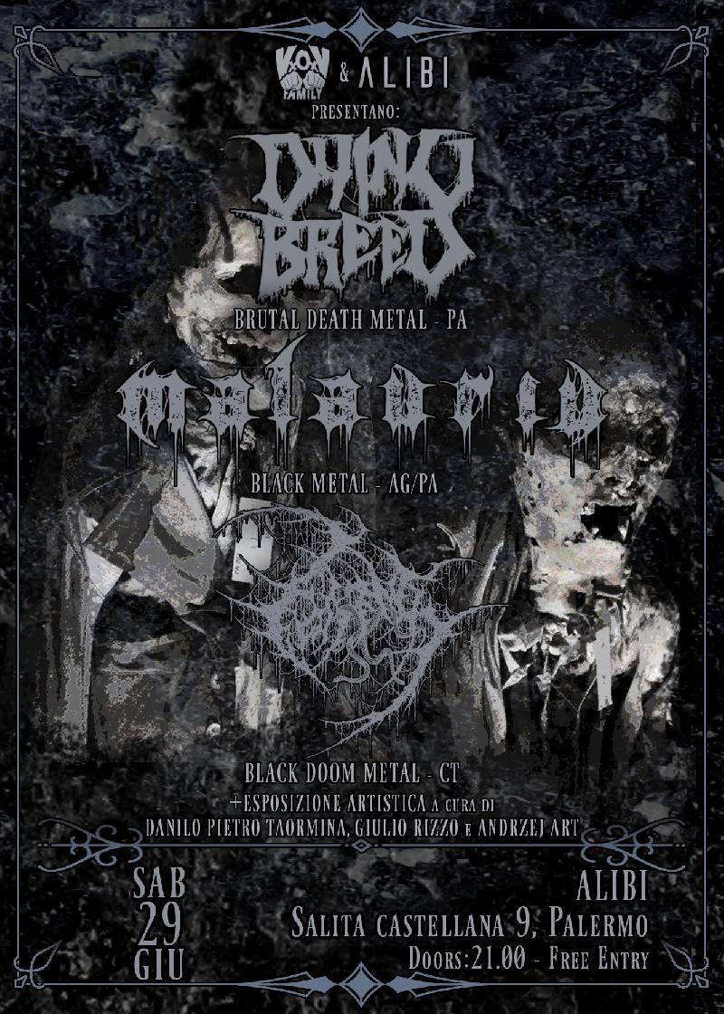 FORDOMTH / MALAURIU / DYING BREED: i dettagli del prossimo live a Palermo