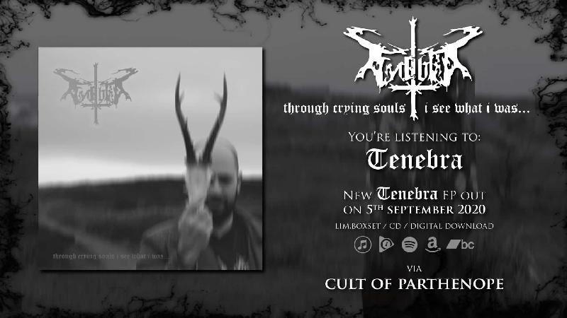 TENEBRA: rivelano track stream video, nuovo ep disponibile in pre-order
