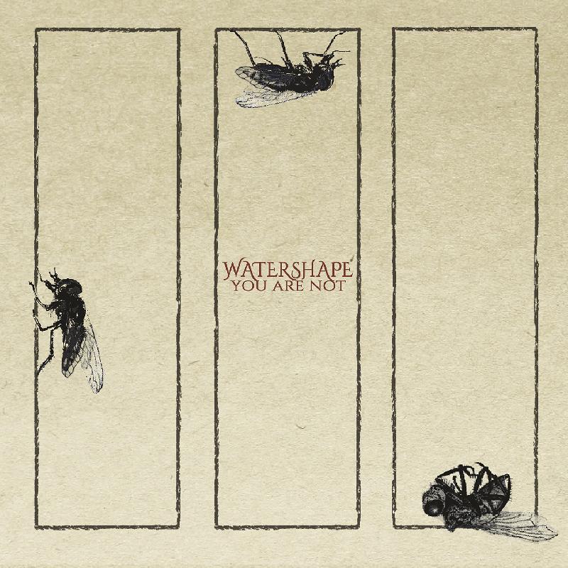WATERSHAPE: il secondo album ''You are Not'' sulle piattaforme digitali