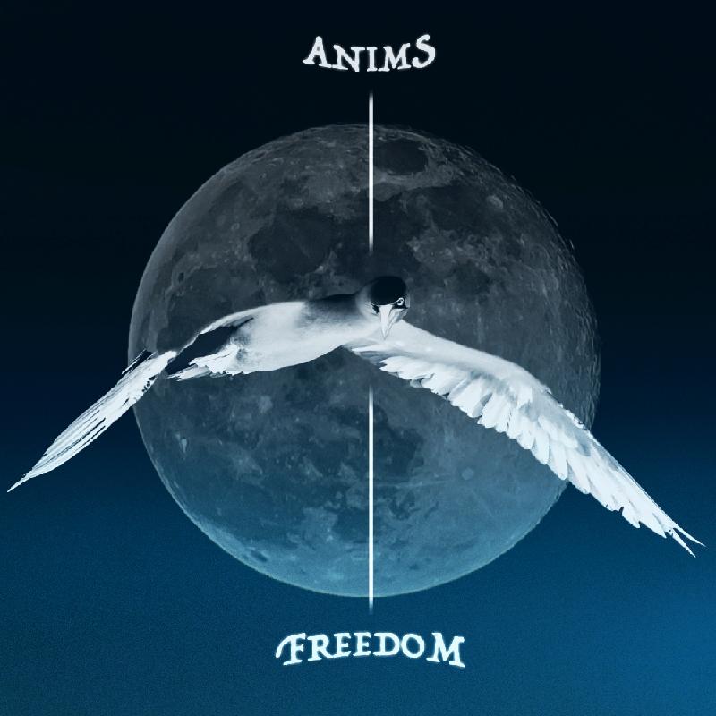ANIMS: disponibile da oggi il primo singolo ''Freedom''