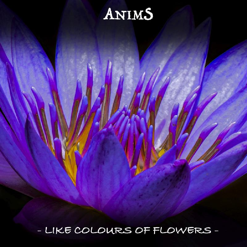 ANIMS: disponibile su YouTube il secondo singolo ''Like Colours Of Flowers''