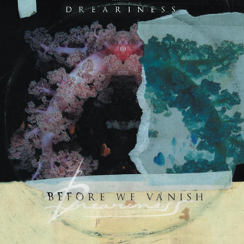 DREARINESS: svelano la cover di ''Before We Vanish''