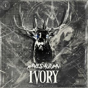 WAVES IN AUTUMN: pubblicano il nuovo singolo ''Ivory''