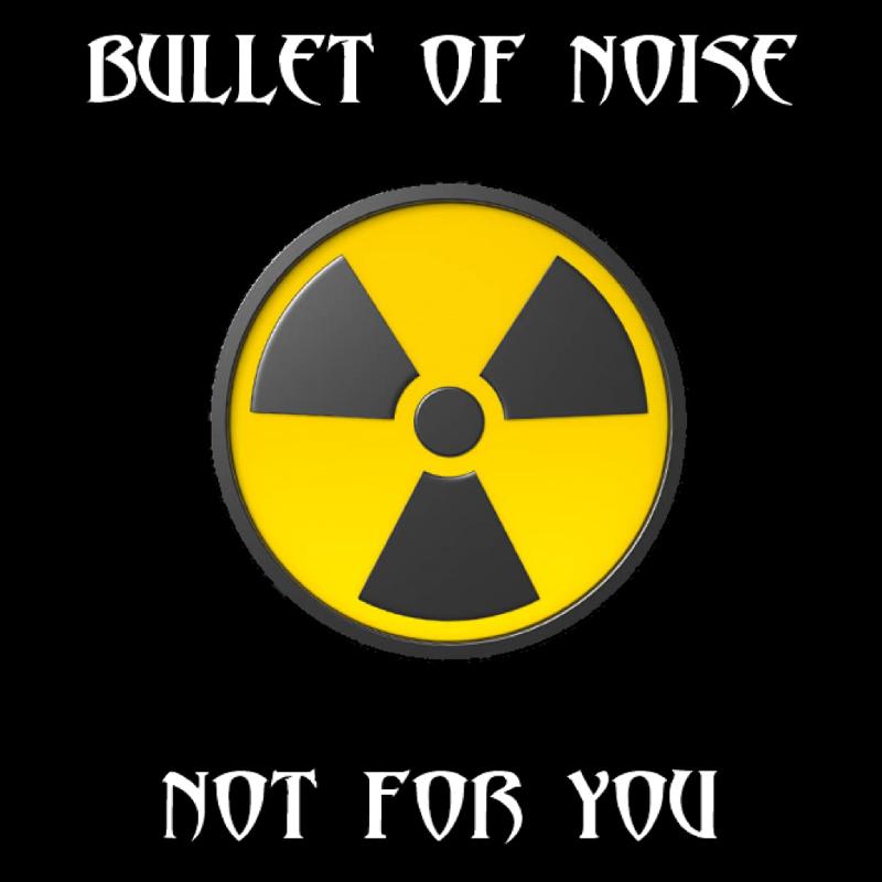 BULLET OF NOISE: il nuovo lavoro ''Not For You''
