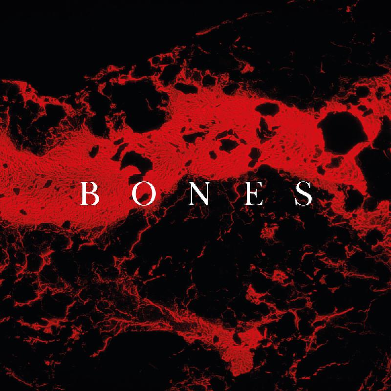 THE SILENCE BETWEEN US: uscito il video di ''Bones''