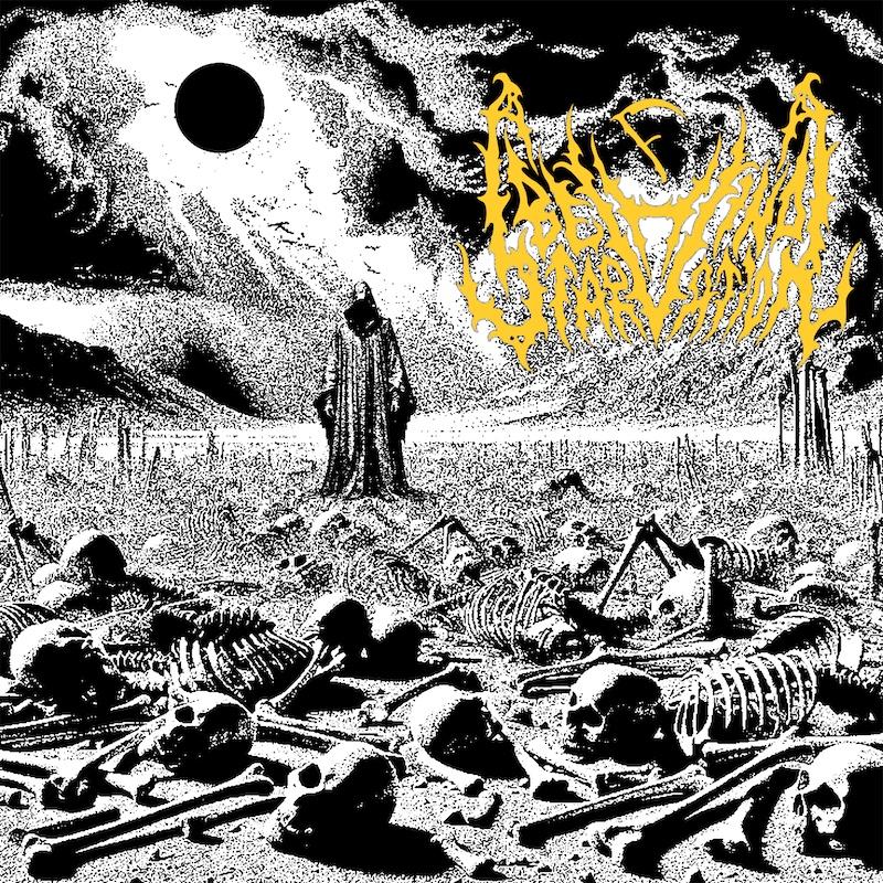 BEHIND STARVATION: presentano il singolo di debutto ''Negation's Shape''