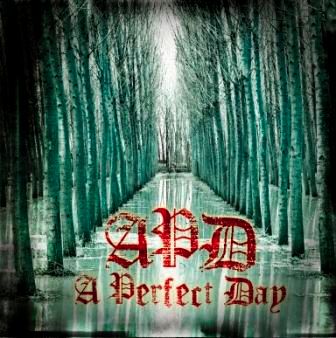 A PERFECT DAY: il nuovo side-project dei Labyrinth