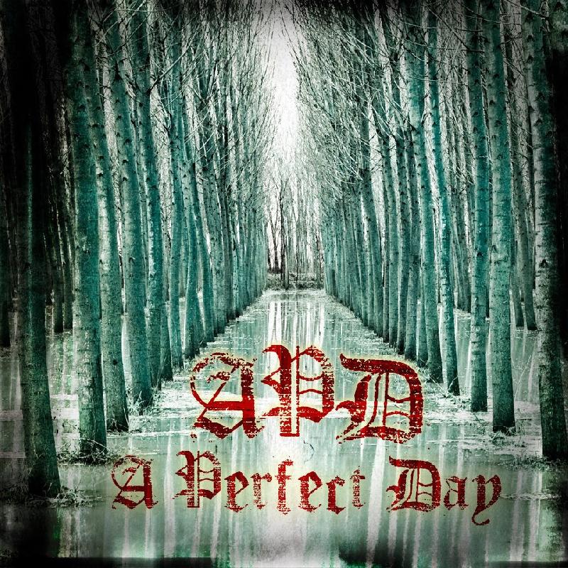 A PERFECT DAY: nuovo disco con logic(il)logic Records