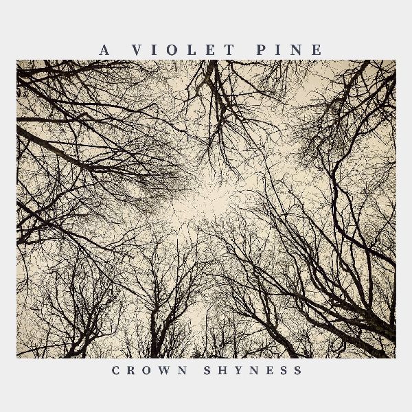 A Violet Pine Crown Shyness | MetalWave.it Recensioni
