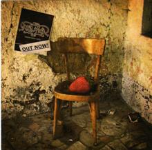 S. Pollution Strawberry Leper Chair | MetalWave.it Recensioni