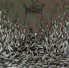 Sidus Tenebrarum Born From The Dark Rib | MetalWave.it Recensioni