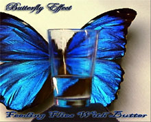 Butterfly Effect Feeding Flies With Butter | MetalWave.it Recensioni
