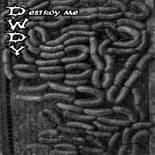 Dwdy Destroy Me | MetalWave.it Recensioni