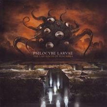 Psilocybe Larvae The Labyrinth Of Penumbra | MetalWave.it Recensioni
