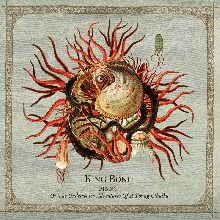 King Bong Pinng - Or The Underwater Adventures Of A Young Cthulhu | MetalWave.it Recensioni