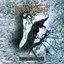 Borknagar The Olden Domain (reissue) | MetalWave.it Recensioni