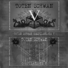 Aa.vv. Toten Schwan Compilazione 5 | MetalWave.it Recensioni