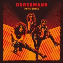 Dobermann Pure Breed | MetalWave.it Recensioni