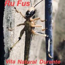Ru Fus Vita Natural Durante | MetalWave.it Recensioni