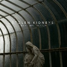 Stolen Kidneys Maailma Loppuu | MetalWave.it Recensioni