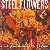MetalWave Recensioni ::: Steel Flowers - 12 Tales From The Life Of Mr. Someone