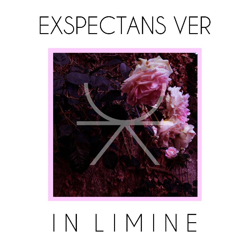 EXPECTANS VER: disponibile da oggi il nuovo ''In Limine''