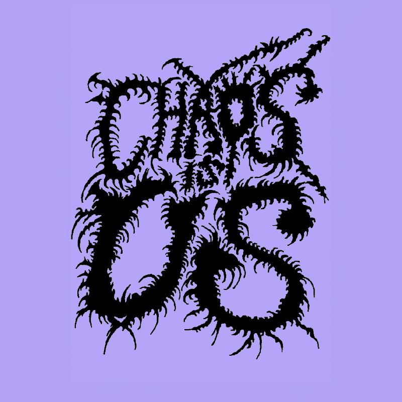 CHAOS IS US: uno scatto alla furia corale del punk