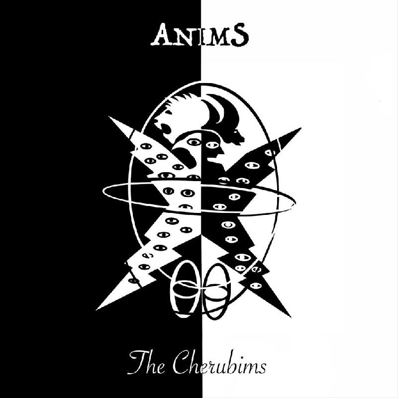 ANIMS: online l'audio streaming del primo singolo ''The Cherubims''