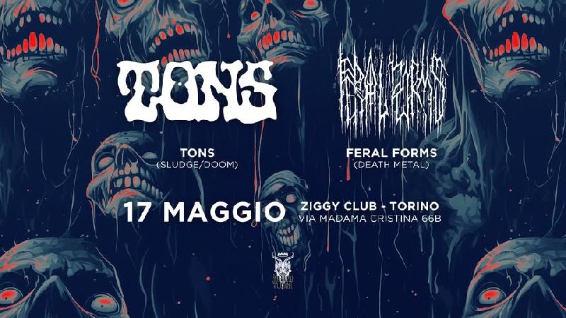 TONS + FERAL FORMS: i dettagli del live al Ziggy Club di Torino