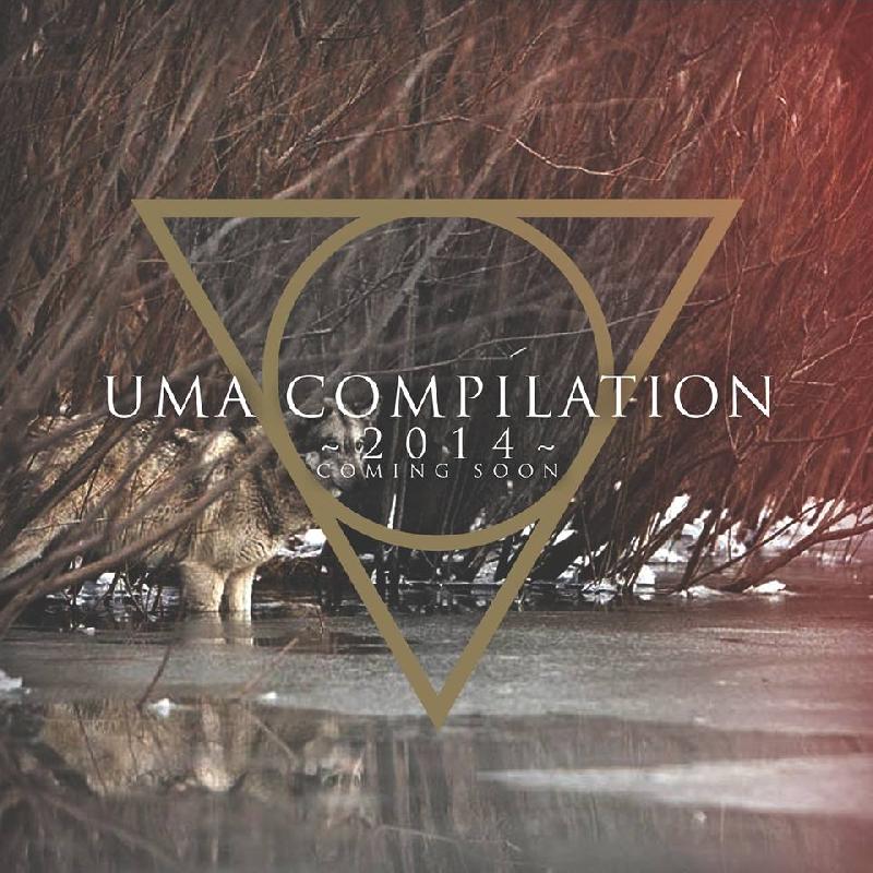 UMA COMPILATION: concluse le votazioni
