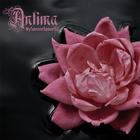 Antima Vain | MetalWave.it Recensioni
