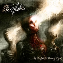 Ebonylake In Swathes Of Brooding Light | MetalWave.it Recensioni