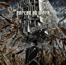 Forces At Work Straight | MetalWave.it Recensioni