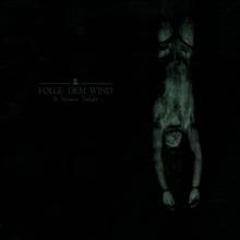 Folge Dem Wind To Summon Twilight | MetalWave.it Recensioni