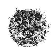 A Pale December The Shrine Of Primal Fire | MetalWave.it Recensioni