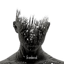 Sollar Translucent | MetalWave.it Recensioni