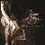 MetalWave Recensioni ::: Ravenwoods - Enfeebling The Throne