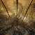 MetalWave Recensioni ::: Reign of the Architect - Rise