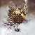 MetalWave Recensioni ::: Craving Terror - Colony Collapse Disorder
