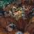 MetalWave Recensioni ::: Protest the Hero - Volition