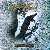 MetalWave Recensioni ::: Borknagar - The Olden Domain (Reissue)