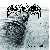 MetalWave Recensioni ::: Extreme Cold Winter - Paradise Ends Here