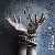 MetalWave Recensioni ::: Forever Still - Tied Down