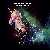 MetalWave Recensioni ::: Space Unicorn on Fire - Gallop Through the Stars
